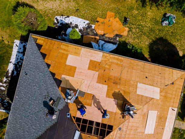 Best Roof Maintenance Services  in Linton Hall, VA