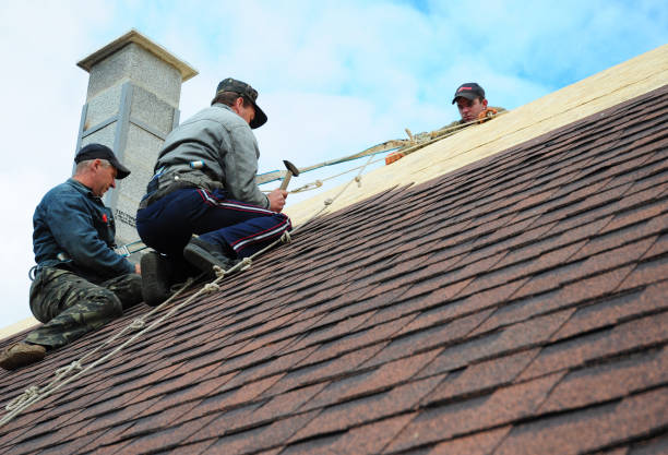 Best Storm Damage Roof Repair  in Linton Hall, VA
